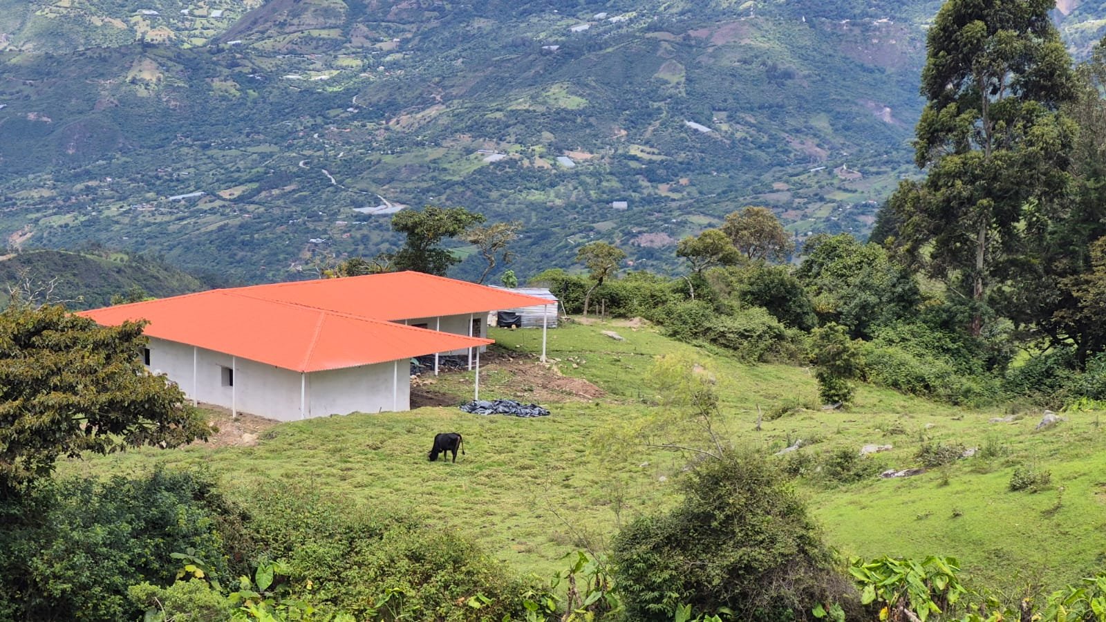 Pulpa y mermelada de fruta de montaña